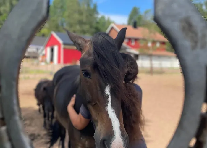 리조트 Rosenli Gard