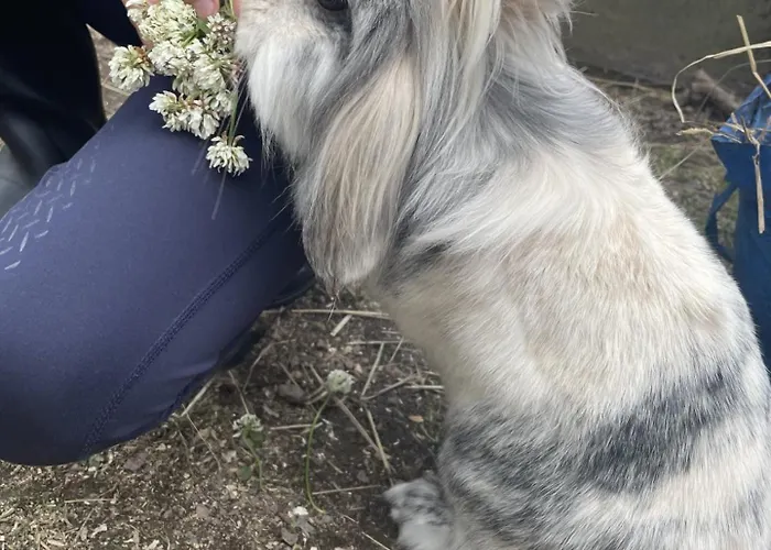 리조트 Rosenli Gard 톤스버그